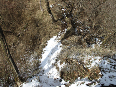 20160218hike (407)